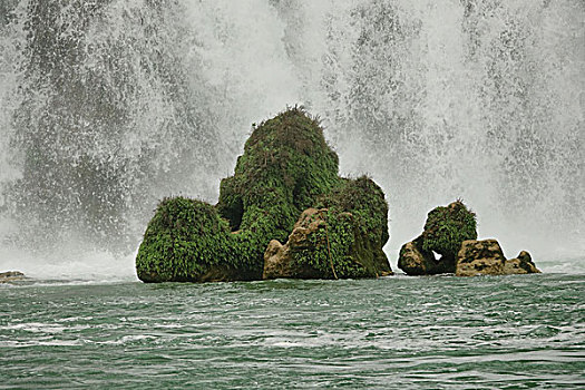 soi cau 3