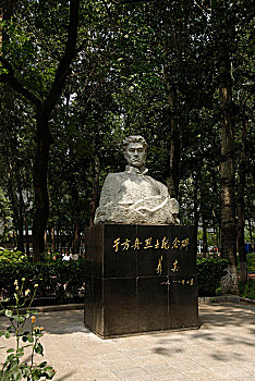 soi cau mien bắc
