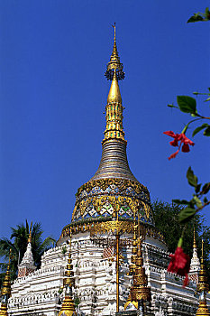 xo so dong thap hom nay