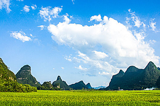 soi cau xo so